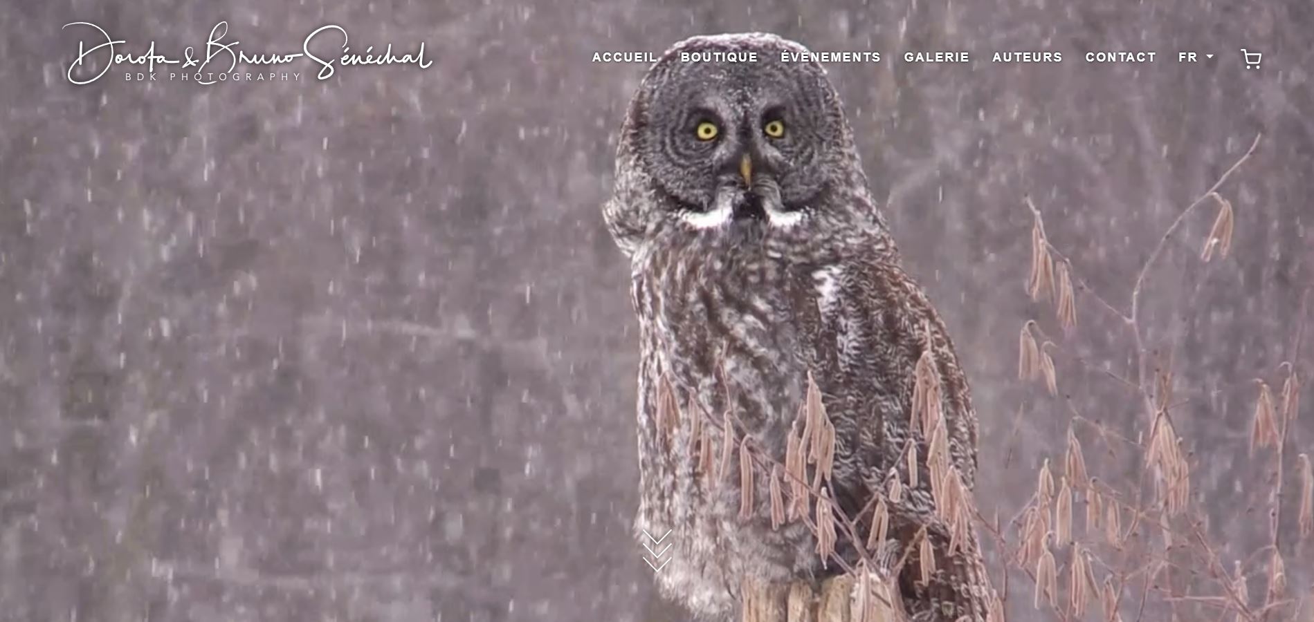 BDK Photography - Site E-commerce